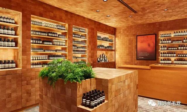 aesop伊索属于什么档次,aesop伊索产品