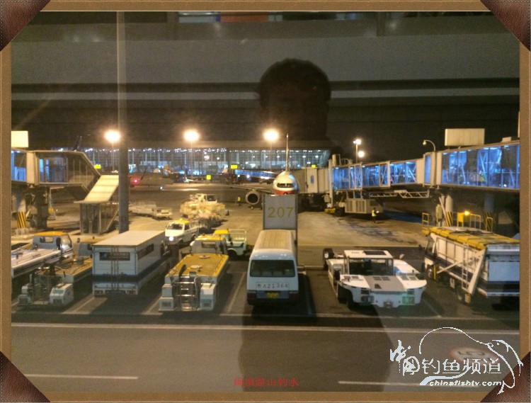 冷雨咬钩,冷雨钓鱼钓多深