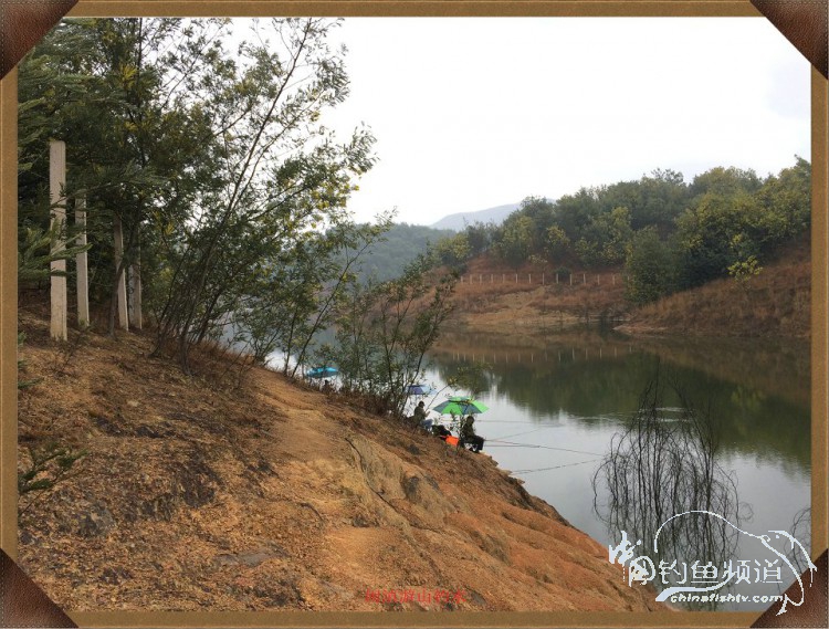冷雨咬钩,冷雨钓鱼钓多深