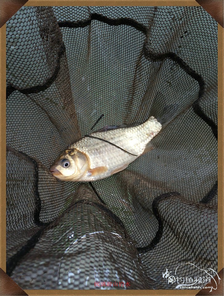 冷雨咬钩,冷雨钓鱼钓多深