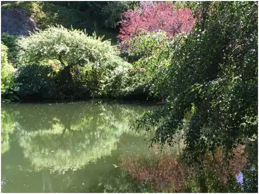 有一种感慨叫做虚度年华,有一种挥霍的时间叫青春