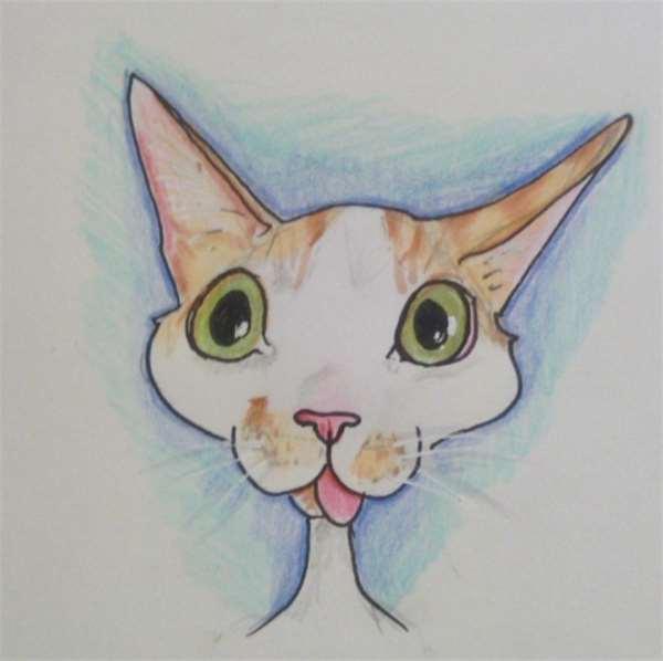 被撞的浪猫下巴严重的脱臼歪斜，想不到却意外成了它的特色招牌！