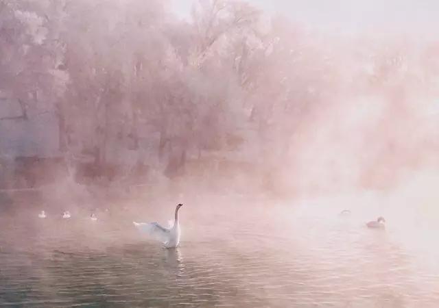 cmpa是什么,cmpa手机摄影欣赏