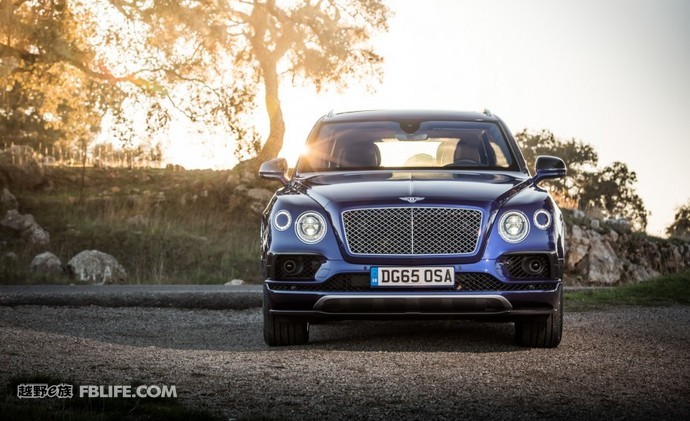 奢华与品味的完美融合,奢华和质感的结合