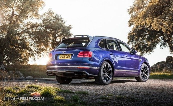 奢华与品味的完美融合,奢华和质感的结合