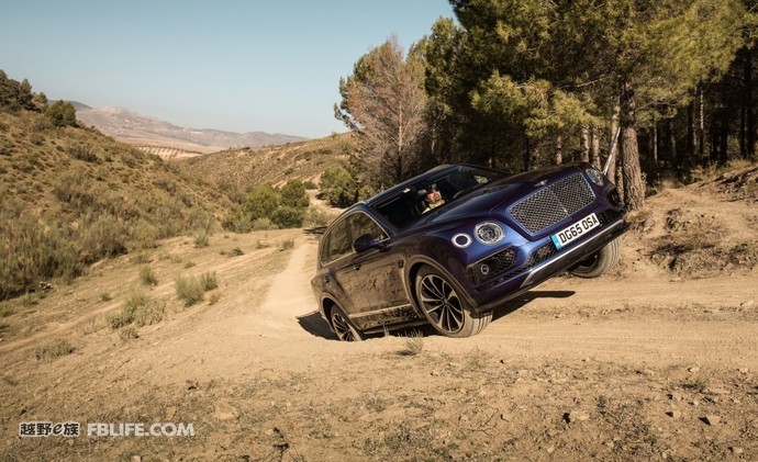 奢华与品味的完美融合,奢华和质感的结合