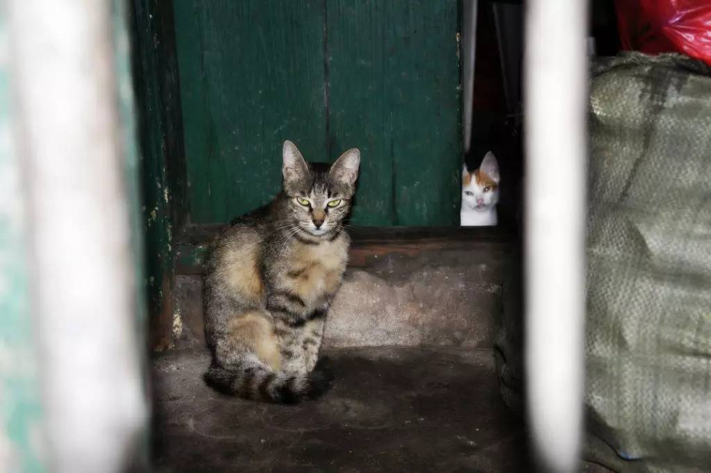 厦门曾经的鼓浪屿,这才是厦门的富人区