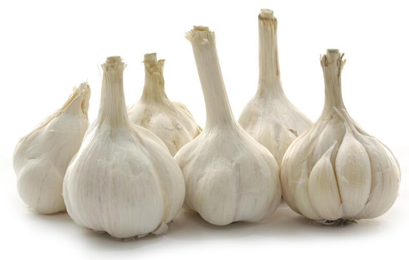 大蒜是个宝常吃身体好绕口令,大蒜是个宝常吃身体好顺口溜