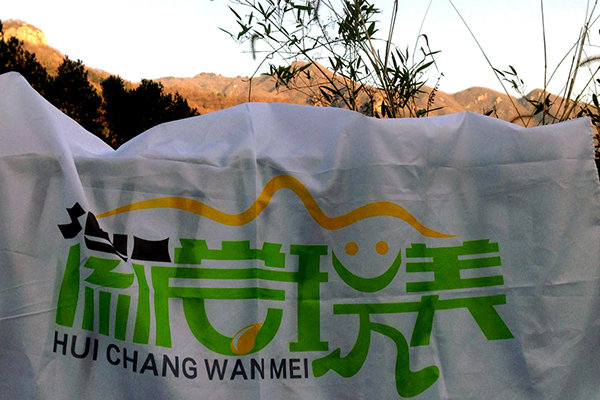 寻找真趣,你真的找对方向了吗