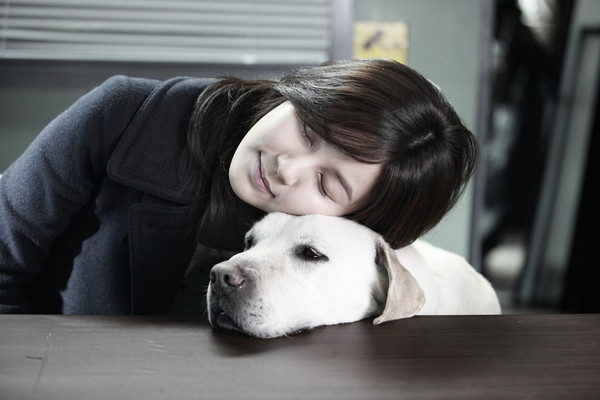 北京导盲犬乔乔,北京导盲犬乔乔最新消息