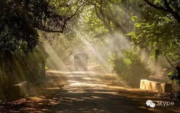 skype公平政策时间,skype怎么更改约会时间