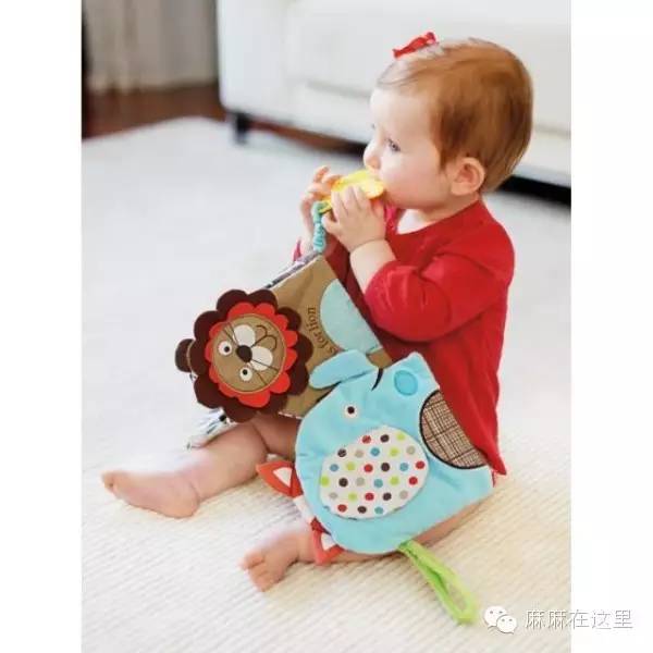 有必要给娃子买布书吗,要不要给孩子买笔记本电脑