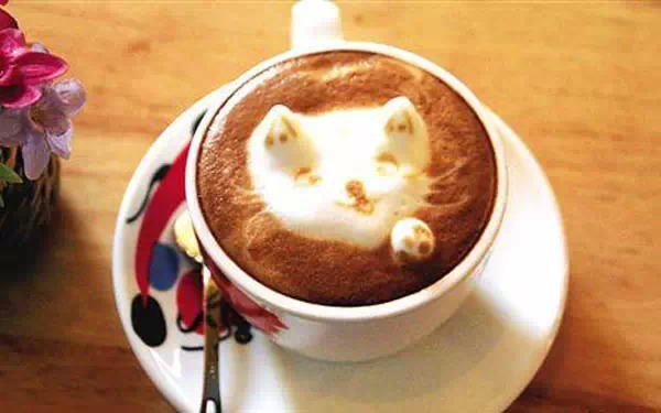 广州宠物咖啡馆,广州宠物咖啡厅推荐