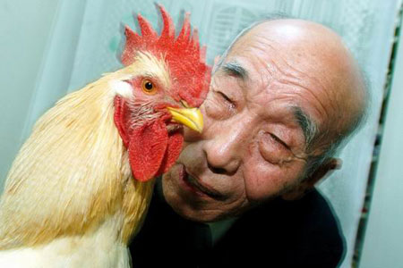 超级可爱的十大萌宠可以在家养,好养又干净的宠物萌宠