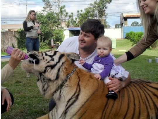 超级可爱的十大萌宠可以在家养,好养又干净的宠物萌宠