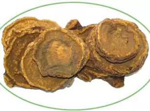 跟我识中药|荡涤肠胃、推陈致新的千古“将军”——大黄