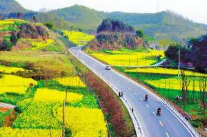 2022成都春季赏花地图,成都赏荷地图出炉啦