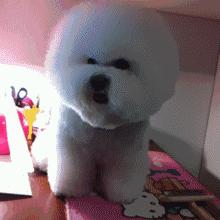 歪脖拯救世界,歪着脖子拯救地球图片