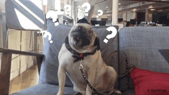 歪脖拯救世界,歪着脖子拯救地球图片