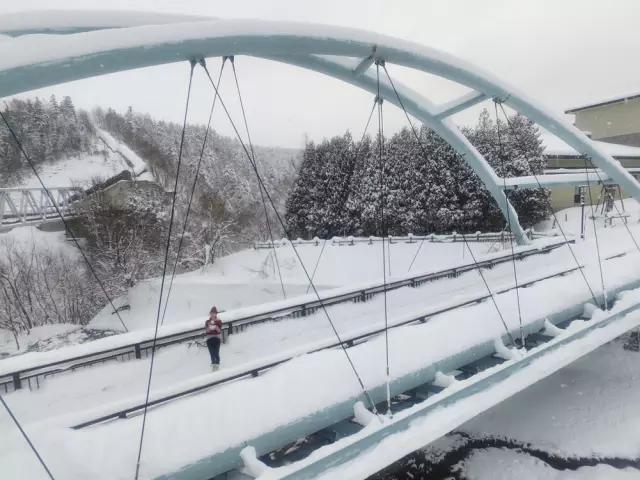 胡霍cp组合图片,胡霍霍cp动图