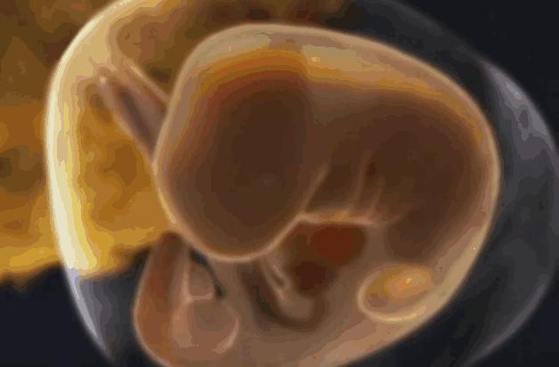 好孕2016！汤唯宣布怀孕啦！女神的小猴子是这样来的！