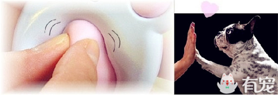 不能专心工作了~猫奴必败的逼真猫爪鼠标来啦!