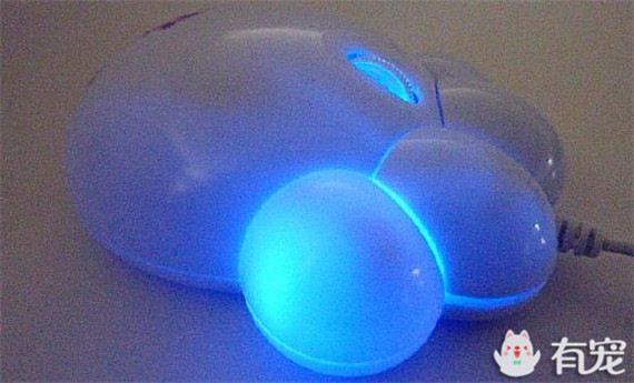 不能专心工作了~猫奴必败的逼真猫爪鼠标来啦!