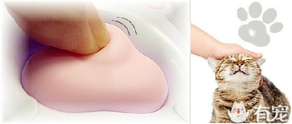 不能专心工作了~猫奴必败的逼真猫爪鼠标来啦!