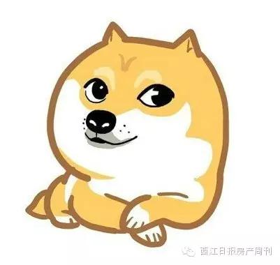 肇庆的单身狗们：恋爱不起买公寓更实际