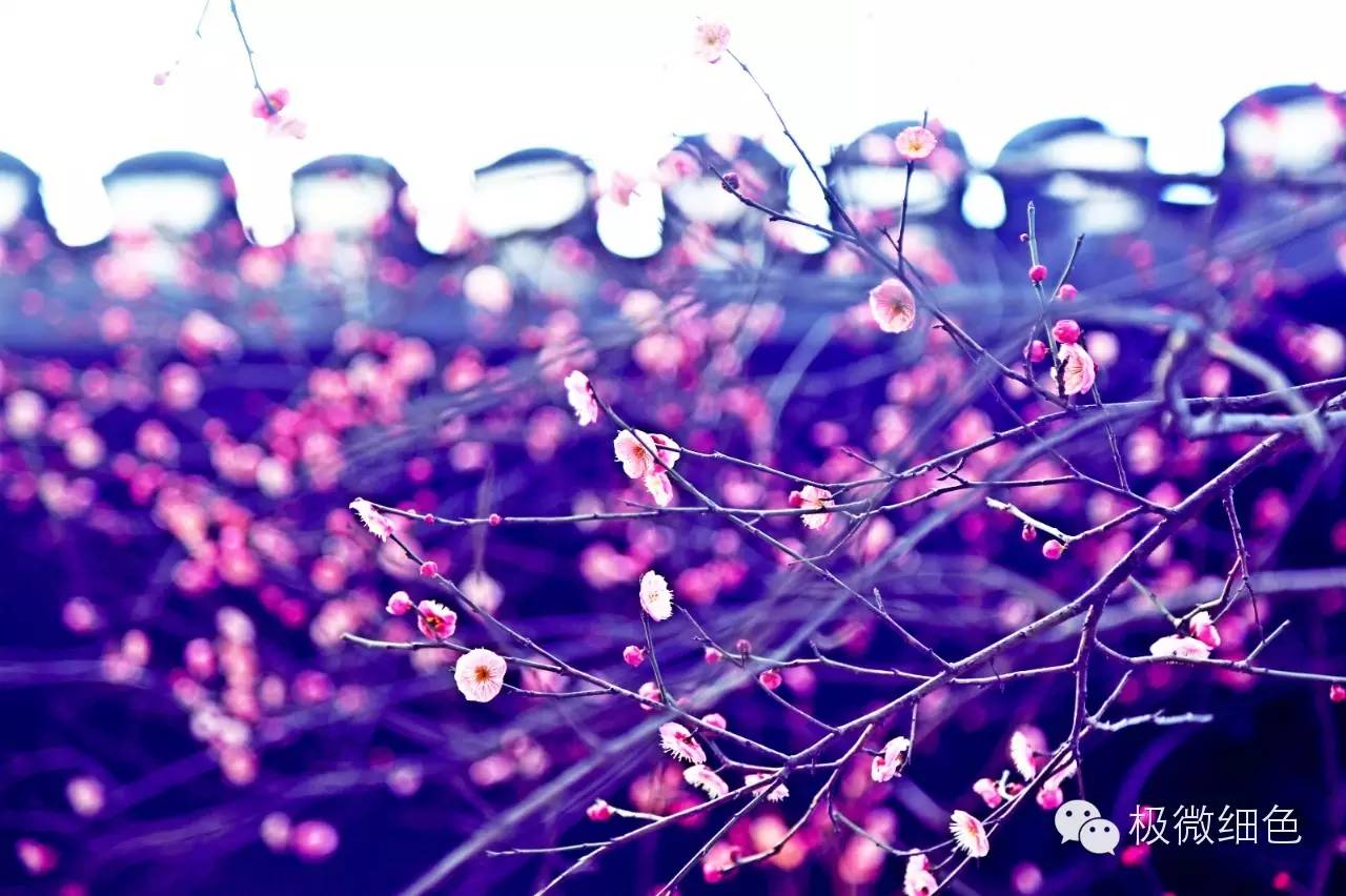 涔惧煄婀樿タ,婀樿タ涔惧煄鍙ゅ煄