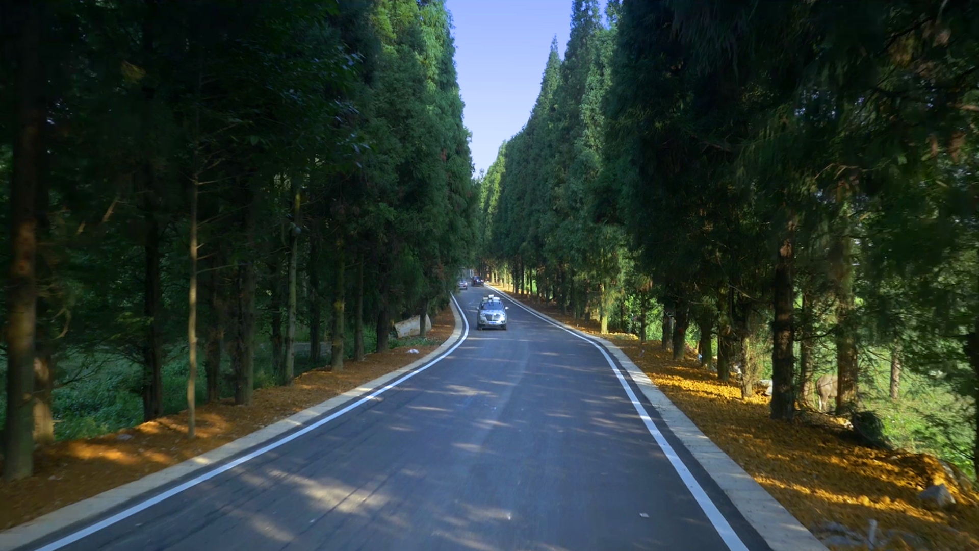 看看如今旧州镇终于找到了历史上夜郎自大的底气