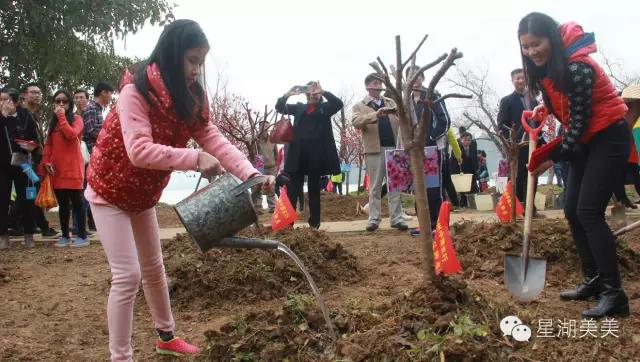 七星岩景区桃花,肇庆七星岩的桃花是什么颜色的