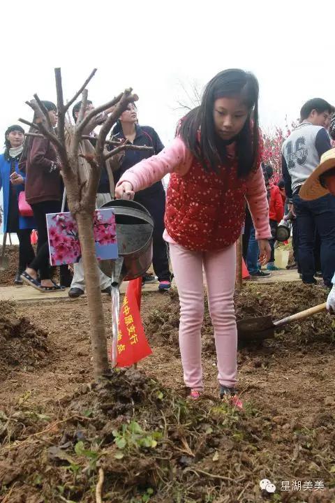 七星岩景区桃花,肇庆七星岩的桃花是什么颜色的