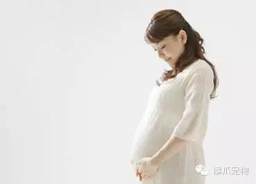 孕妇怀孕期间可以养宠物吗,孕妇家里养宠物好不好