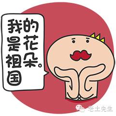 盘点以前的游戏,盘点以前玩过的游戏合集