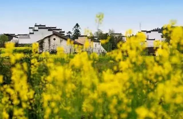 中国旅游100强排名,国内十大必去旅游胜地排名