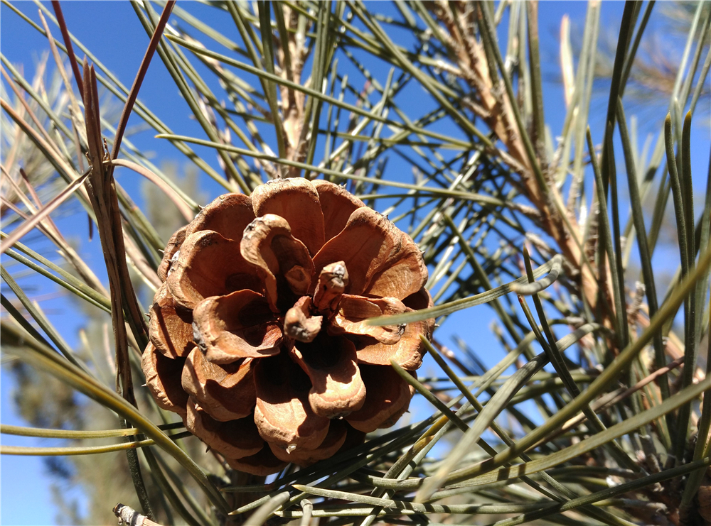 美，才是第一生产力——布拉格S详细体验