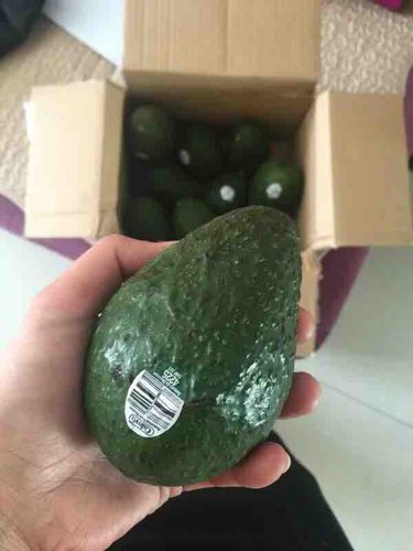 孕期要注意进补哪些营养素,怀孕四个月吃什么保健品补充营养