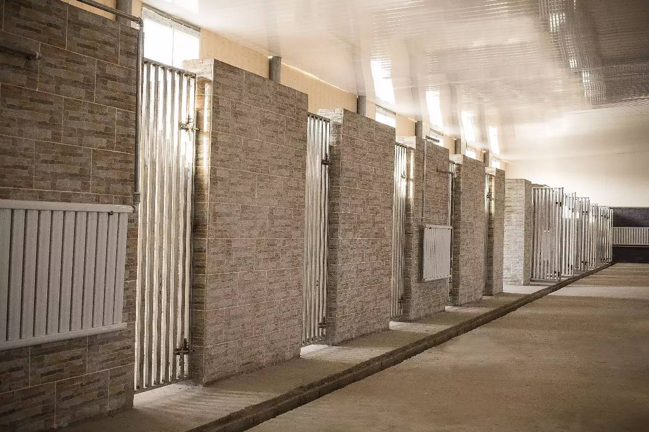 家庭寄养狗狗注意事项有哪些,国内外狗狗寄养环境最好的