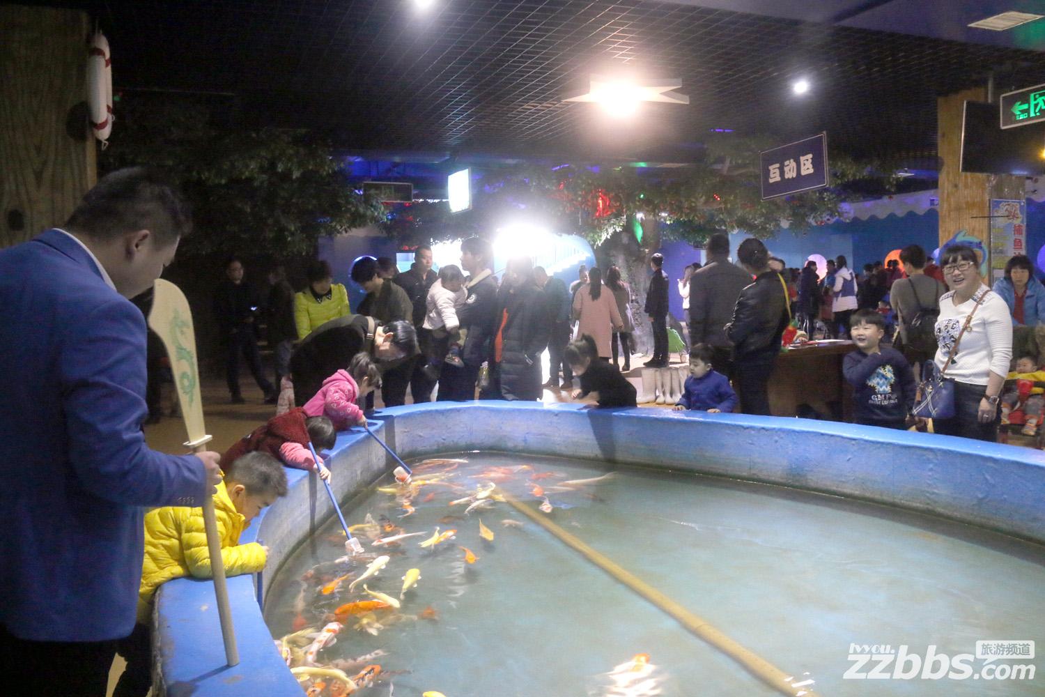 东京极地海洋馆表演,极地海洋馆美人鱼