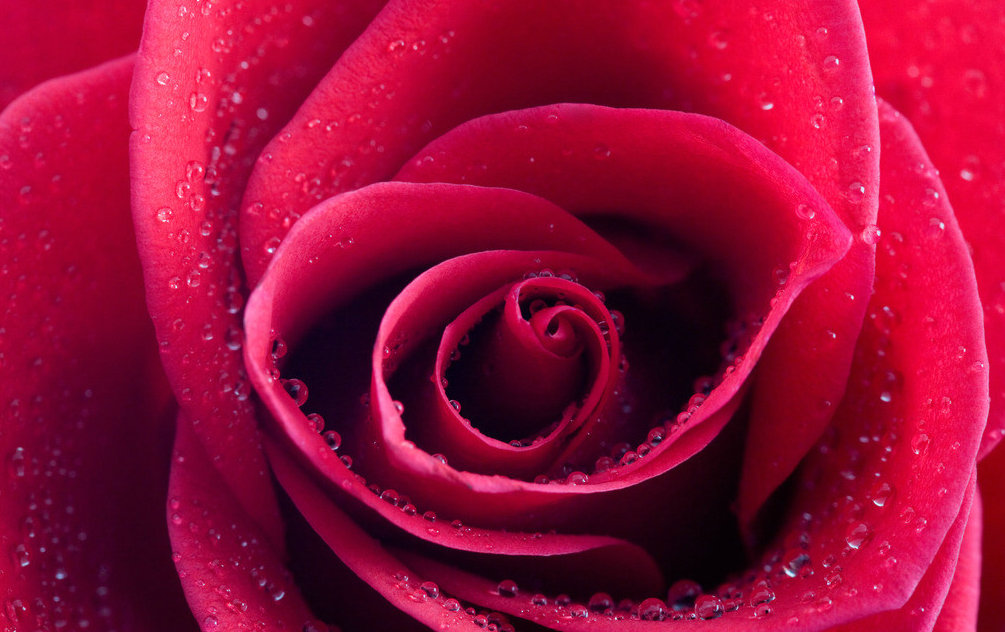 白带的详细检查有哪些,白带常规检查单