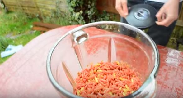 重口新高度!两男子“将活蛆搅碎后饮用”,看完我再也不想吃饭了