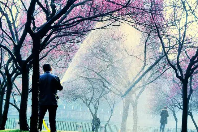 cmpa是什么,cmpa手机摄影欣赏