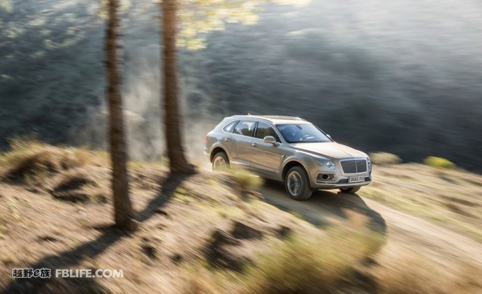 奢华与品味的完美融合,奢华和质感的结合