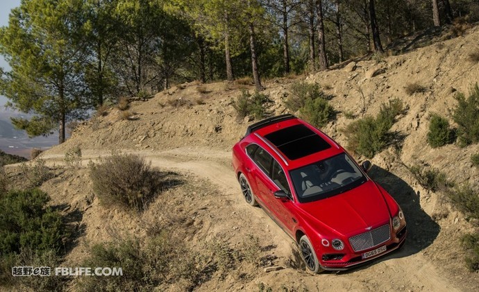 奢华与品味的完美融合,奢华和质感的结合