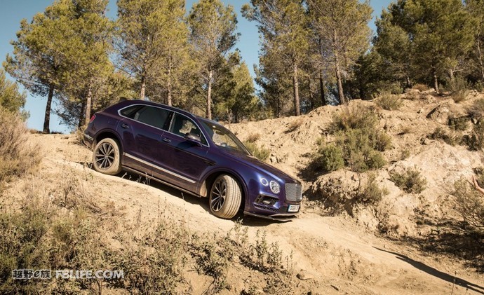 奢华与品味的完美融合,奢华和质感的结合