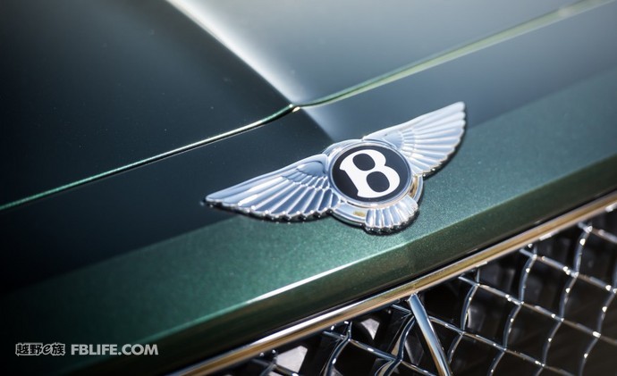 奢华与品味的完美融合,奢华和质感的结合