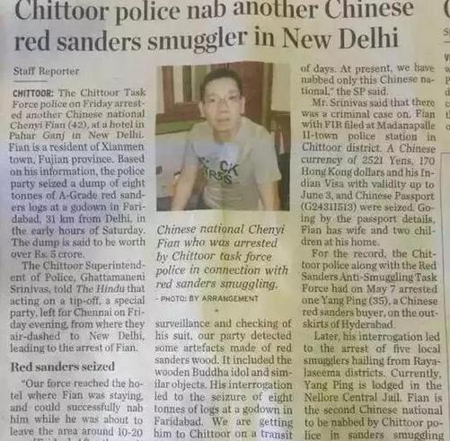 小叶紫檀冬天倒盆快死了,小叶紫檀半死不活