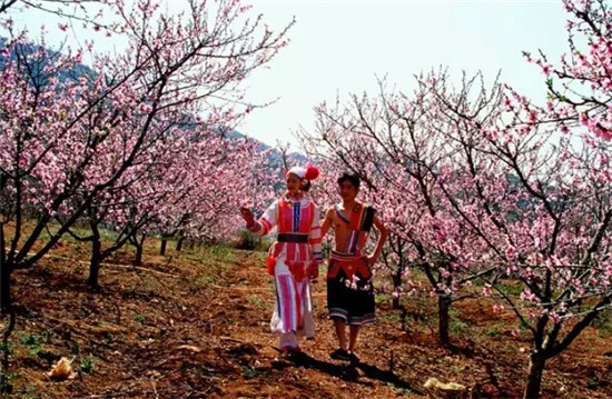 泸西旅游攻略一日游,去云南红河攻略