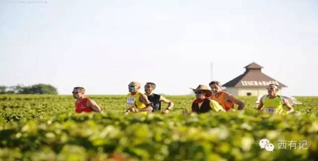 有了这些超美装备，你也能成跑圈女神！